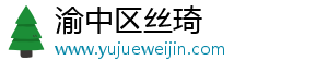 渝中区丝琦